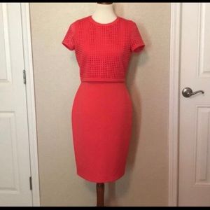 Coral colored pencil dress with perforated bodice.
